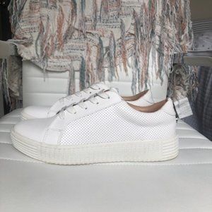 Steve Madden white sneakers 9.5